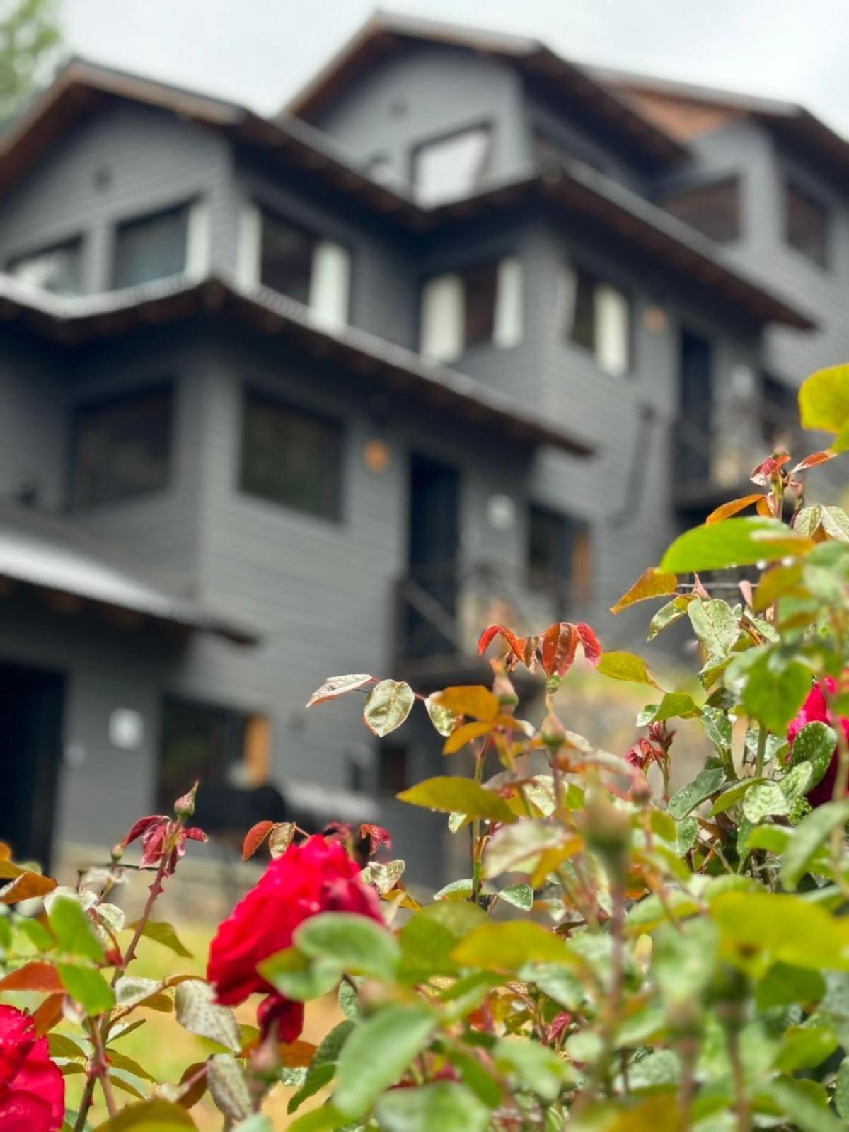 Huilen De Bandurrias Villa San Martín de los Andes Dış mekan fotoğraf
