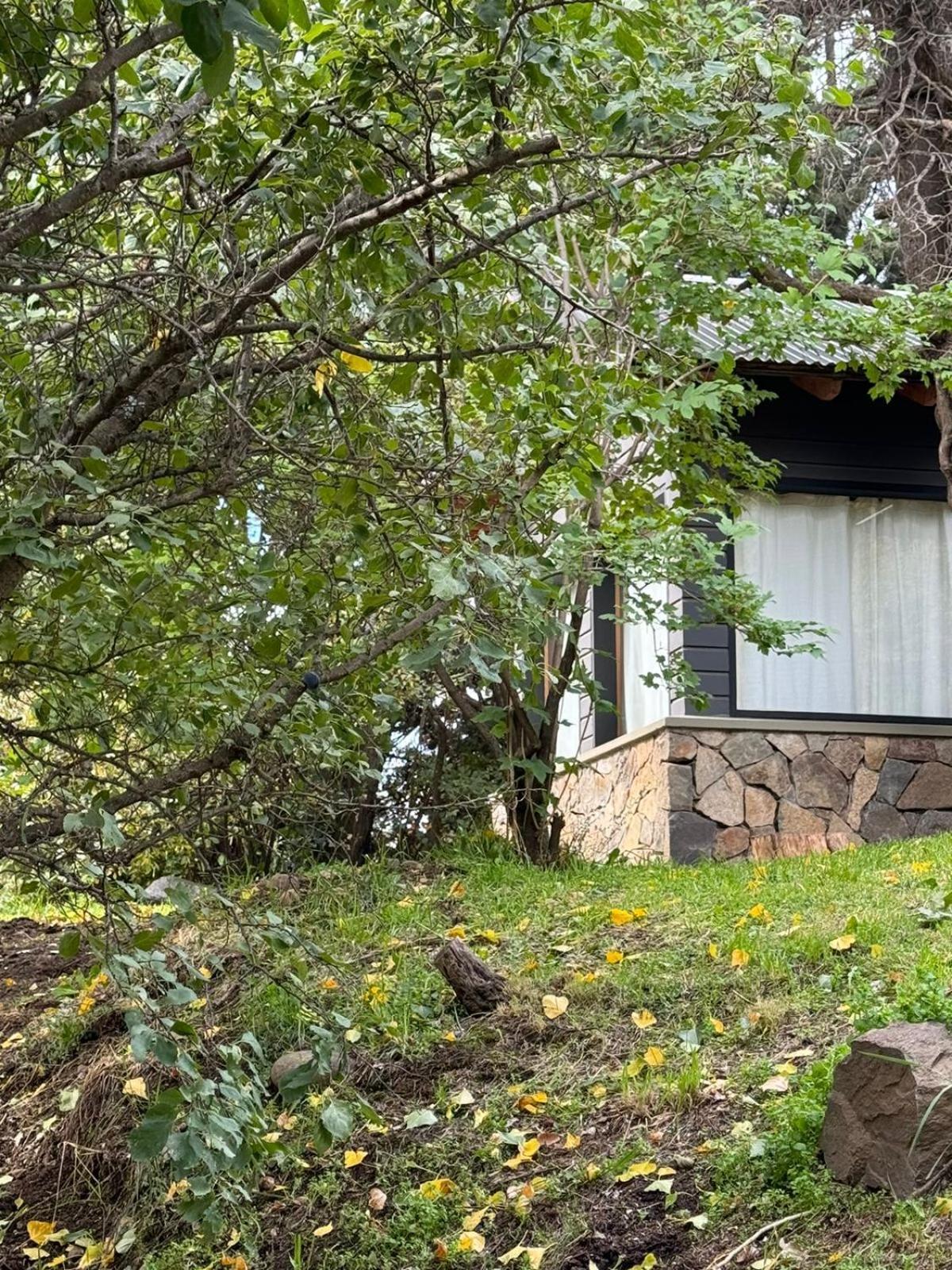 Huilen De Bandurrias Villa San Martín de los Andes Dış mekan fotoğraf